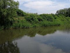 -新江湾城公园