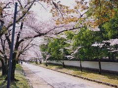 -醍醐寺