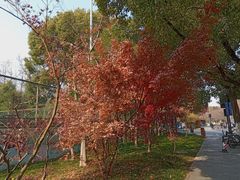 -浙江大学(紫金港校区)