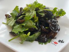 -开口笑·精选水饺