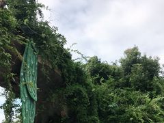 -石老人观光园