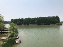 -苏州太湖国家湿地公园
