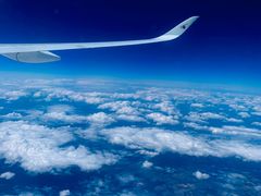 -约翰·菲茨杰拉德·肯尼迪国际机场