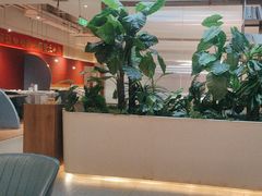 -悦海·家宴·冰花皮皮虾大锅贴(宝龙店)