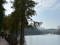 -重庆彩云湖湿地公园