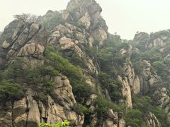 -大岭沟猕猴桃谷风景区
