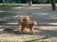 -徐家汇源景区-衡山公园