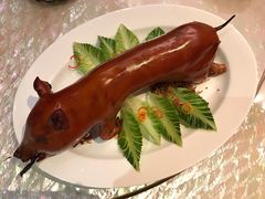 乳猪焗饭-8餐厅(新葡京酒店)