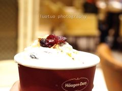 哈根达斯-盛宴标帜餐厅·亲子自助 (南昌喜来登酒店)