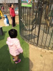 -萌宠亲子动物乐园(槐房万达店)