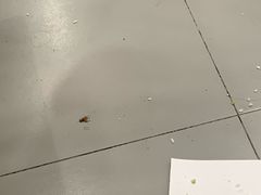 -老娘舅(西湖文化广场店)