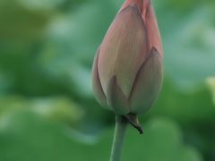 -梁鸿国家湿地公园