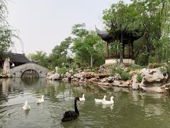 -宛园