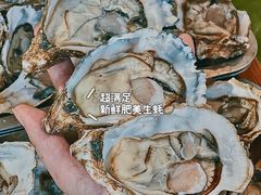 -蚝英雄·自助烤蚝(建设路店)