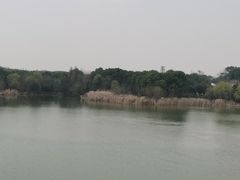 -东湖落雁景区