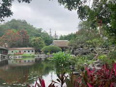 -顺峰山公园