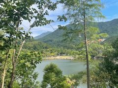 -深圳仙湖植物园