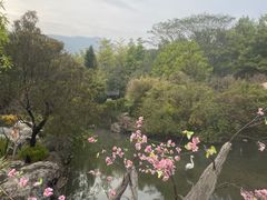 -河源客天下-温泉小镇