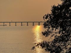 -宝安西湾红树林湿地公园