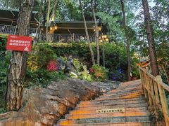 -巴倒烫陆派火锅山庄(南山总店)