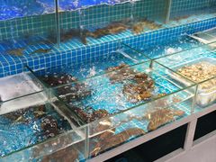 -蒸八鲜农家土菜(祝桥店)