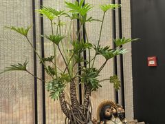 -满来寿喜烧(金虹桥店)