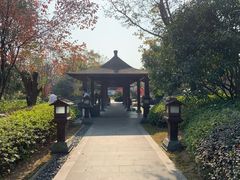 -航空小镇温泉