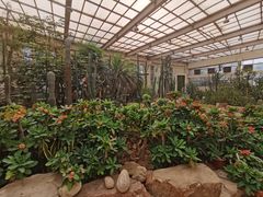 -石家庄市植物园