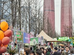 -合景·悠方(成都店)