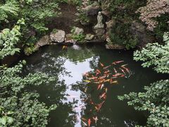 -灵隐飞来峰景区