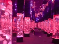 -成都浩海立方海洋公园