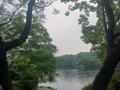 -紫金山山顶公园