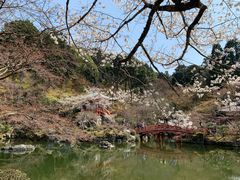 -醍醐寺