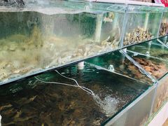 -海岸风情蒸汽海鲜自助餐厅(家宴金手勺店)