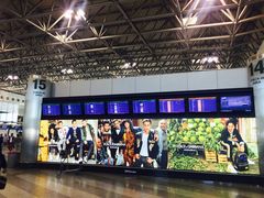 -米兰马尔彭萨国际机场