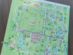 -东平国家森林公园