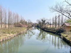 -良渚古城遗址公园