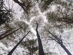 -东南花都花博园