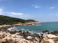 -广东惠东海龟国家级自然保护区