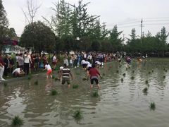 -洪湖家庭农场·团建·露营·会议