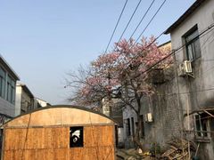 -菊园百果园