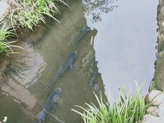 -万景饭店·鱼街农家菜
