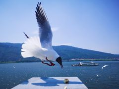 -滇池海埂公园