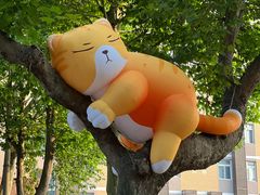 -西安电影制片厂