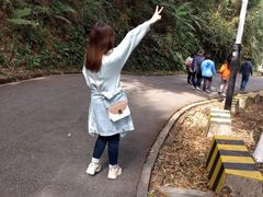 -广州市帽峰山景区