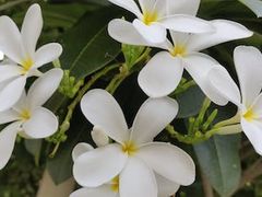 -维乐口腔医院(星海湾分院)