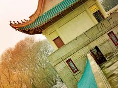 -武汉大学-樱园