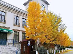 -北京张裕爱斐堡酒庄