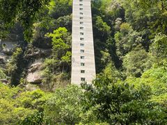-碧峰峡风景区