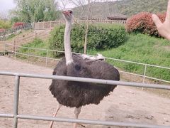 -无锡动物园·太湖欢乐园